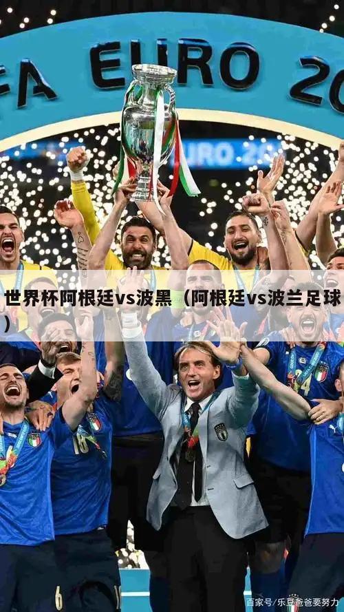 世界杯阿根廷vs波黑（阿根廷vs波兰足球）  第4张
