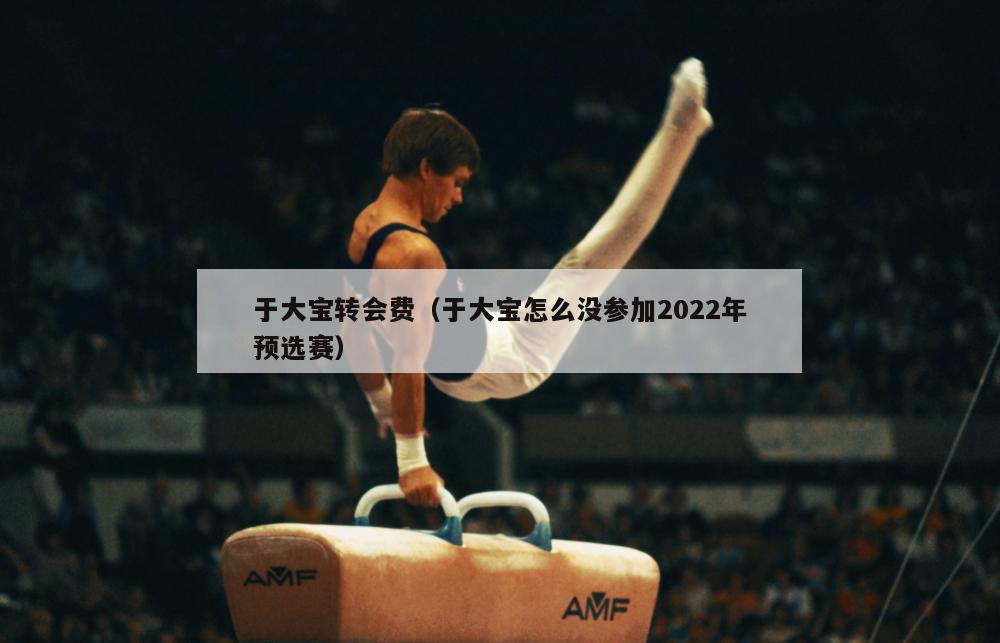 于大宝转会费（于大宝怎么没参加2022年预选赛）  第5张