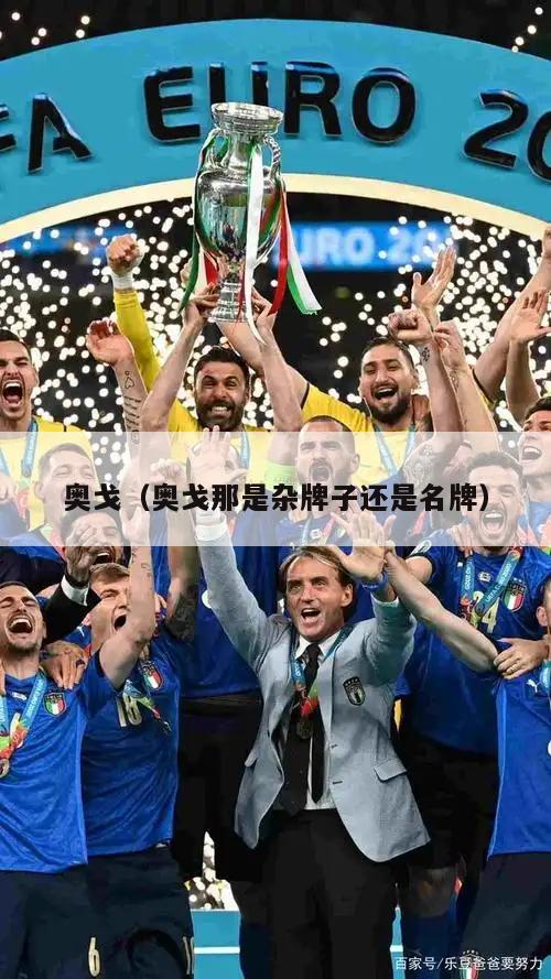 奥戈（奥戈那是杂牌子还是名牌）  第2张