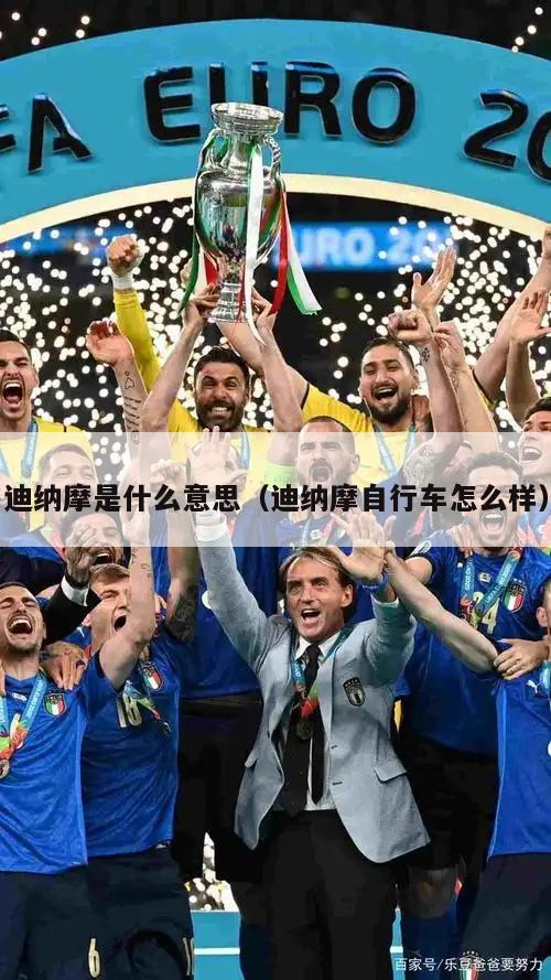迪纳摩是什么意思（迪纳摩自行车怎么样）  第2张