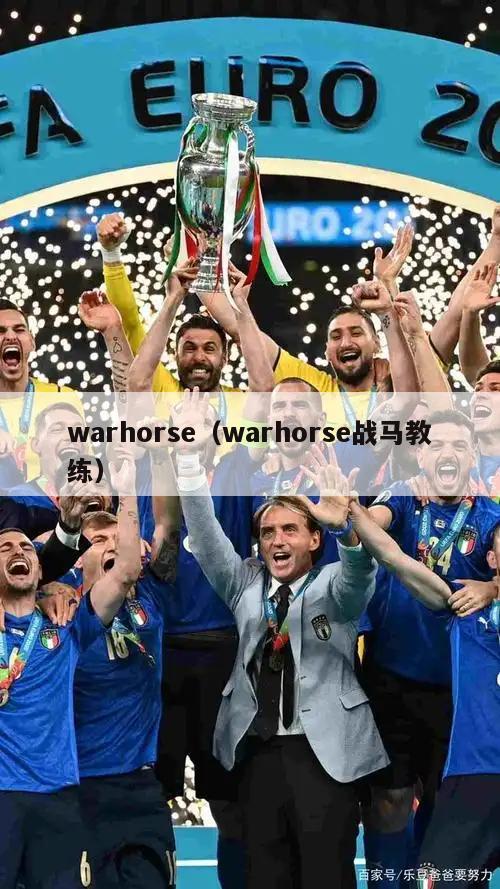 warhorse（warhorse战马教练）  第1张