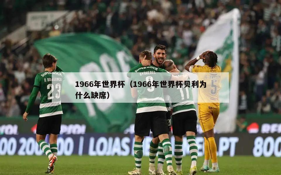 1966年世界杯（1966年世界杯贝利为什么缺席）  第5张