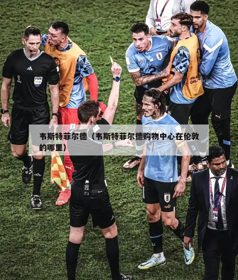 韦斯特菲尔德（韦斯特菲尔德购物中心在伦敦的哪里）  第2张