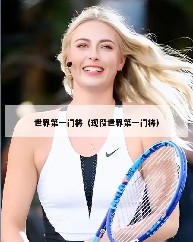 世界第一门将（现役世界第一门将）  第3张