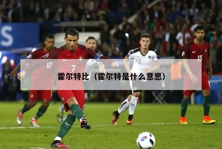 霍尔特比（霍尔特是什么意思）  第5张