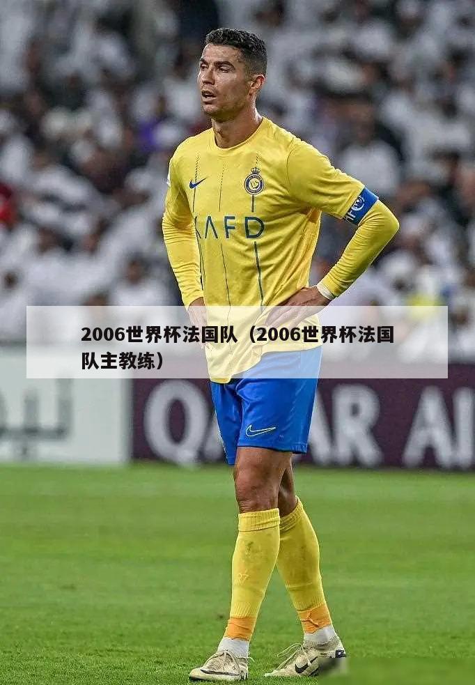 2006世界杯法国队（2006世界杯法国队主教练）  第4张