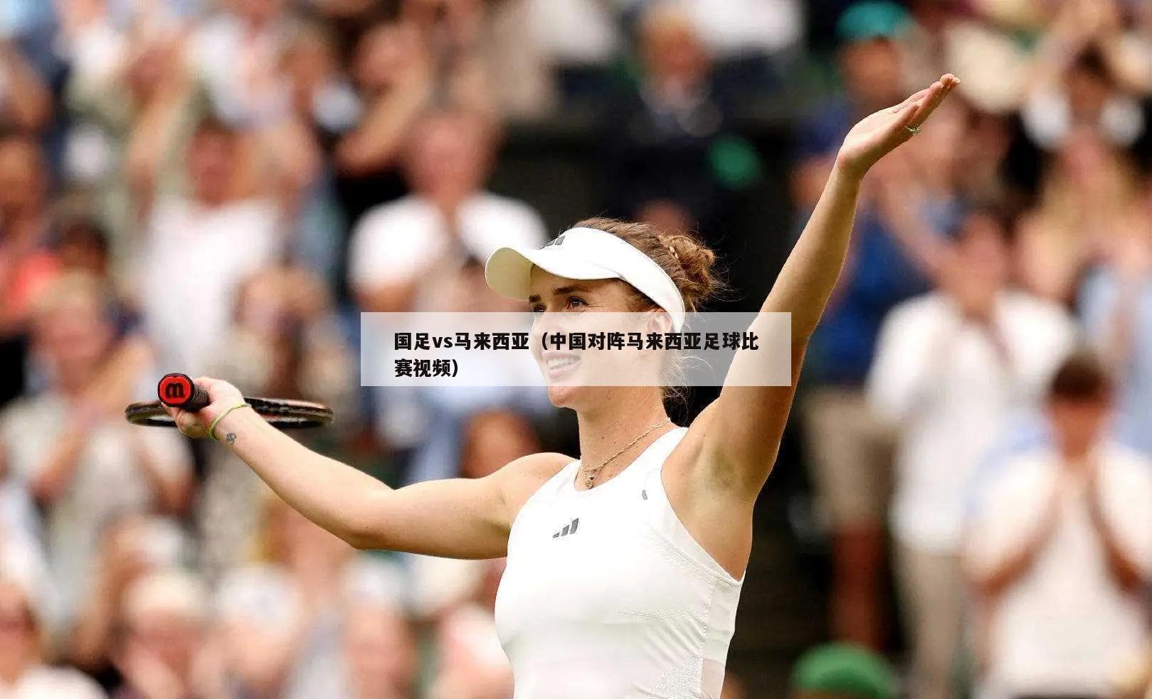 国足vs马来西亚（中国对阵马来西亚足球比赛视频）  第1张