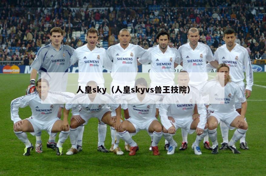 人皇sky（人皇skyvs兽王技院）  第5张