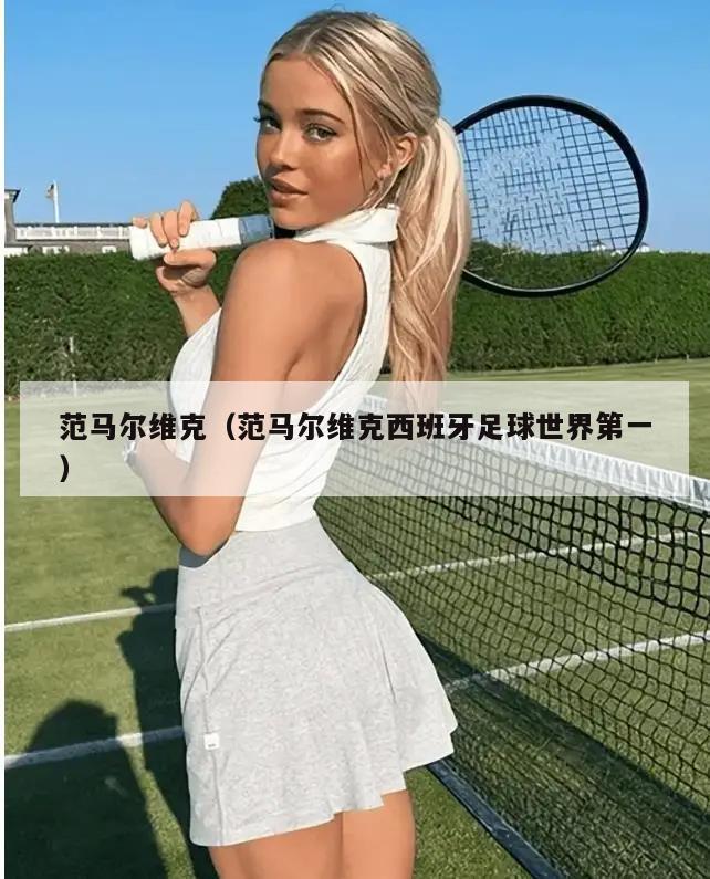 范马尔维克（范马尔维克西班牙足球世界第一）  第2张
