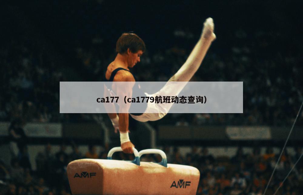 ca177（ca1779航班动态查询）  第3张
