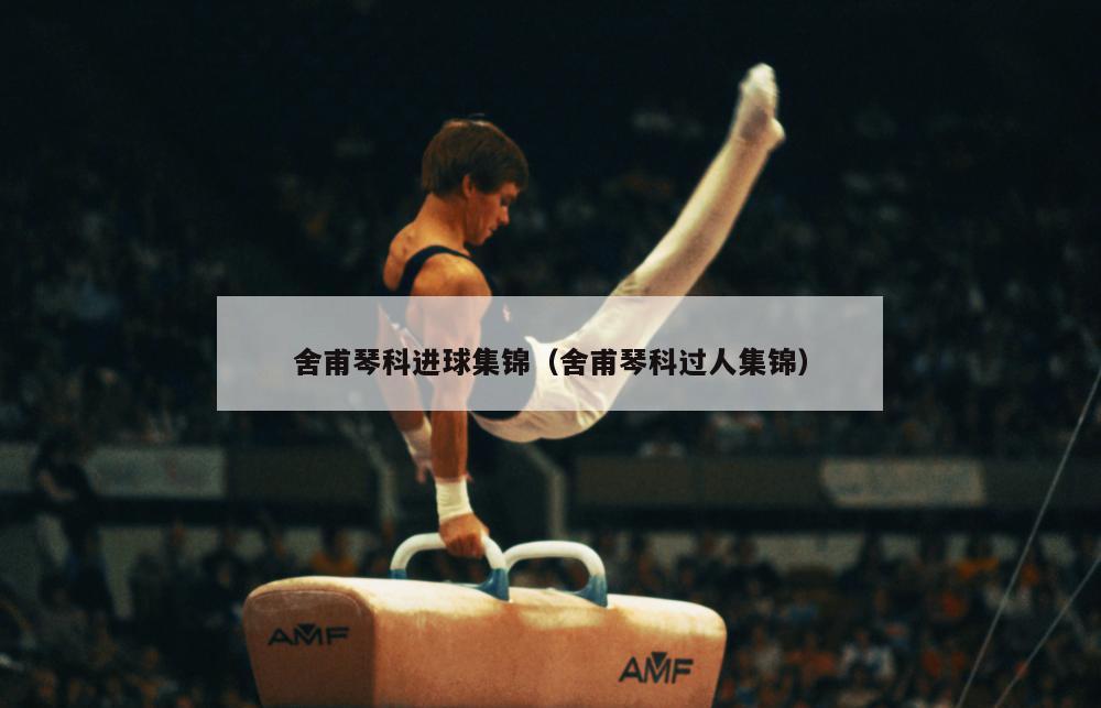 舍甫琴科进球集锦（舍甫琴科过人集锦）  第1张