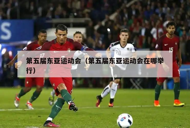 第五届东亚运动会（第五届东亚运动会在哪举行）  第2张