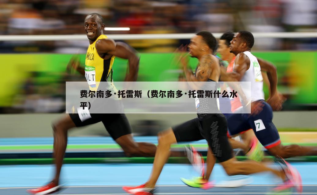 费尔南多·托雷斯（费尔南多·托雷斯什么水平）  第2张