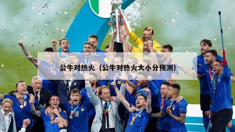 公牛对热火（公牛对热火大小分预测）  第5张