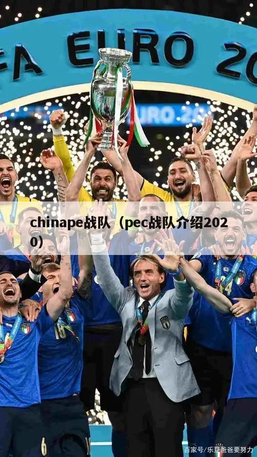 chinape战队（pec战队介绍2020）  第2张