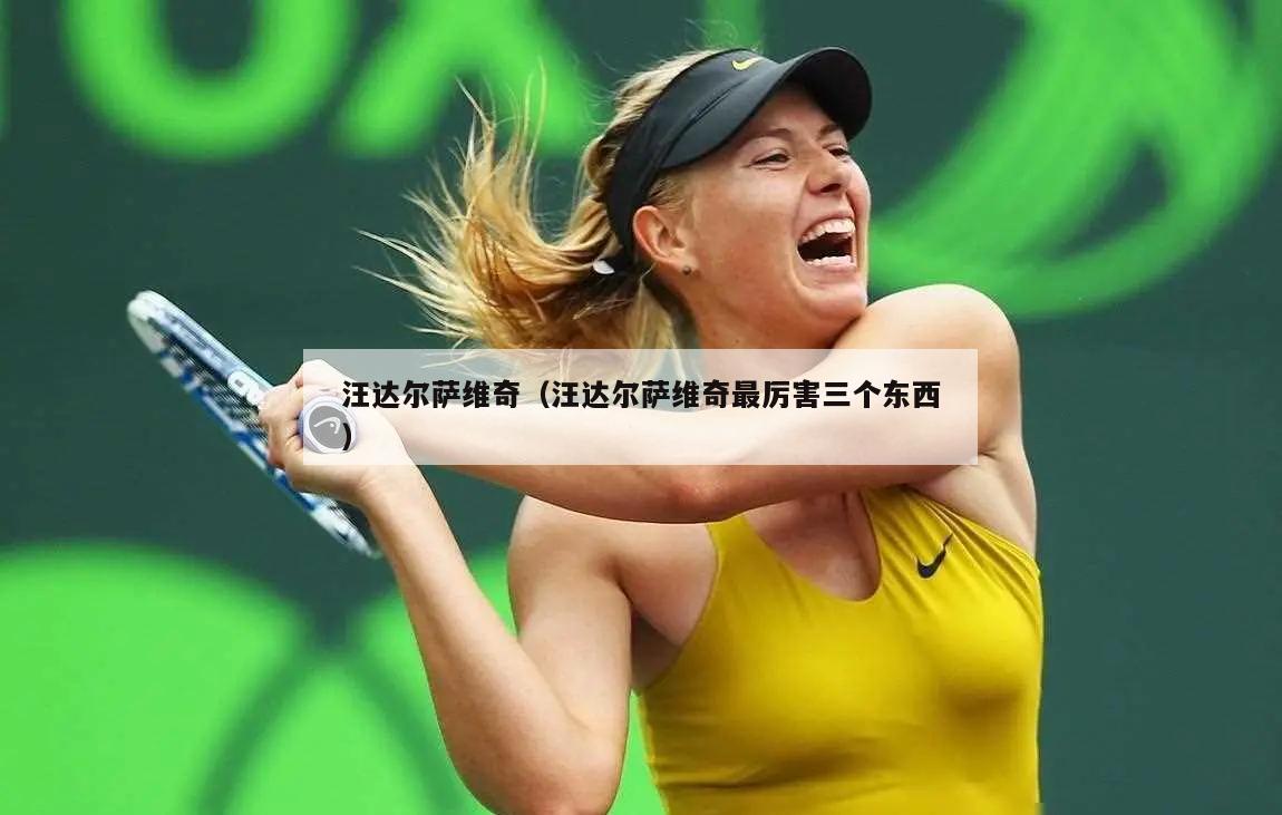 汪达尔萨维奇（汪达尔萨维奇最厉害三个东西）  第2张