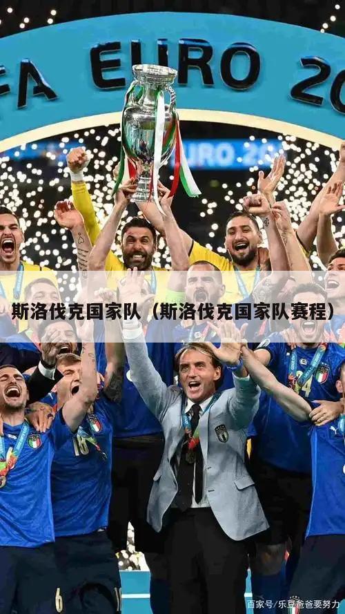 斯洛伐克国家队（斯洛伐克国家队赛程）  第2张