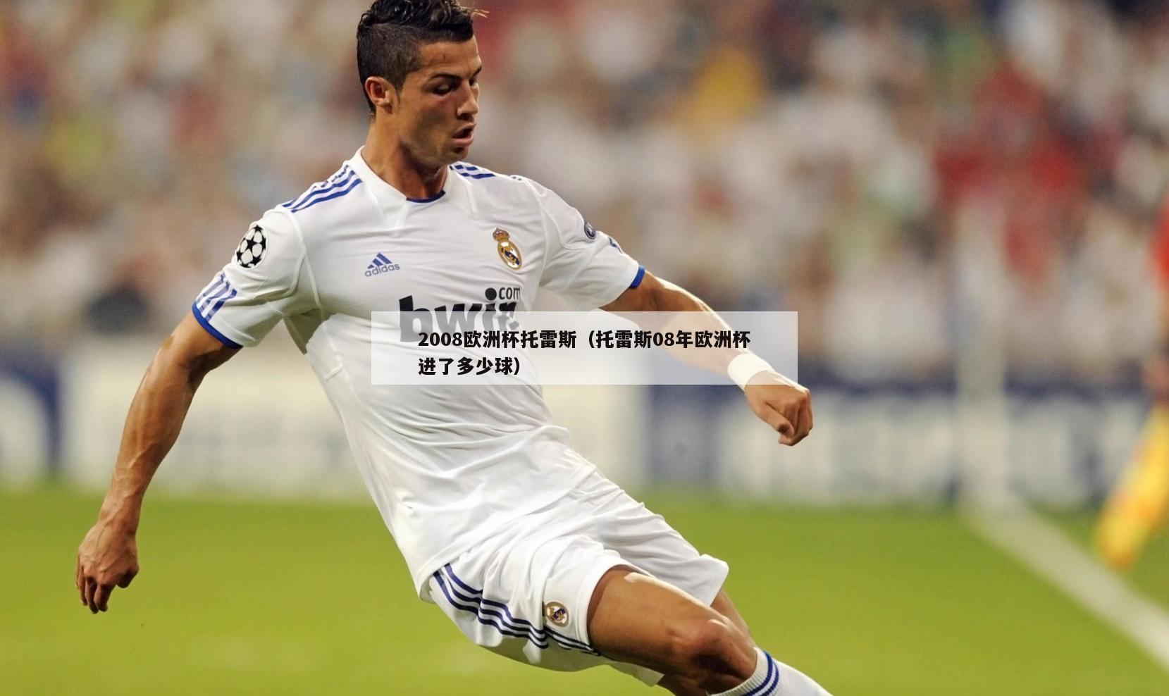 2008欧洲杯托雷斯（托雷斯08年欧洲杯进了多少球）  第2张