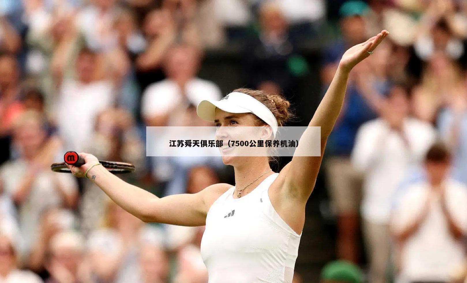 江苏舜天俱乐部（7500公里保养机油）  第2张