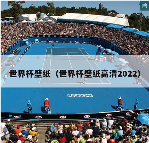 世界杯壁纸（世界杯壁纸高清2022）  第3张