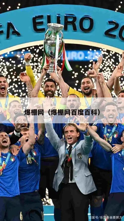 爆棚网（爆棚网百度百科）  第5张
