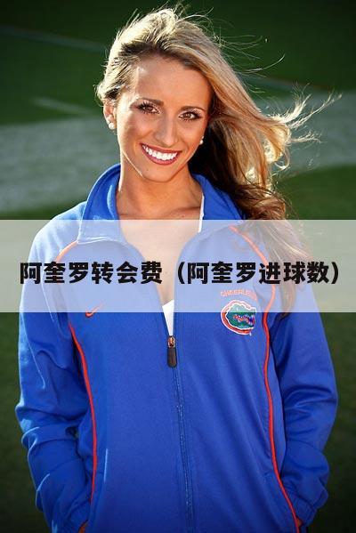 阿奎罗转会费（阿奎罗进球数）  第4张
