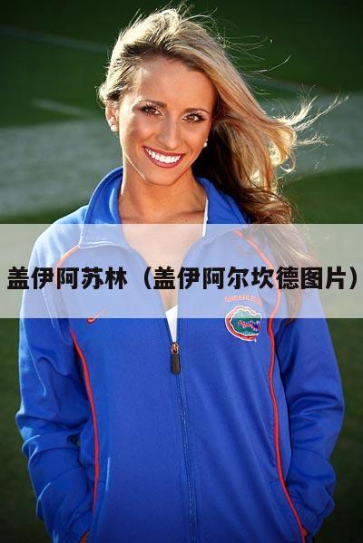 盖伊阿苏林（盖伊阿尔坎德图片）  第2张