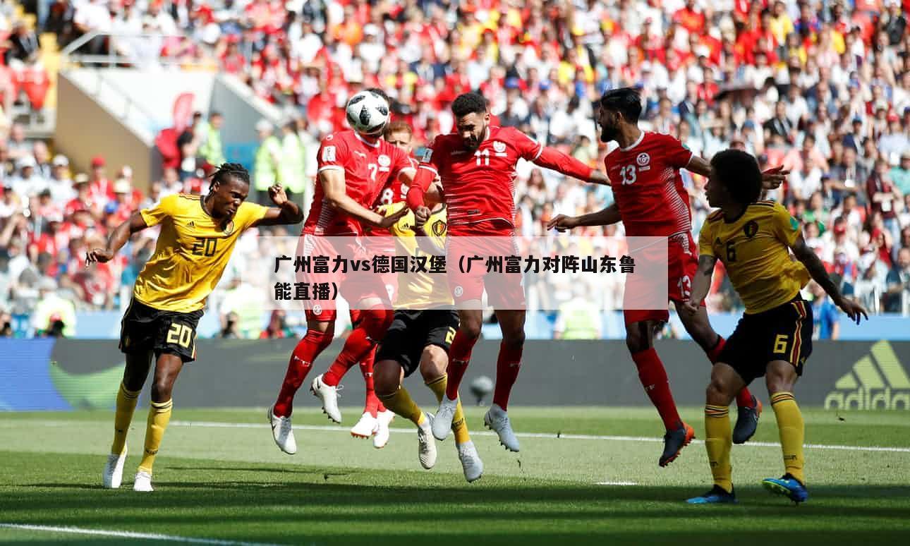 广州富力vs德国汉堡（广州富力对阵山东鲁能直播）  第1张