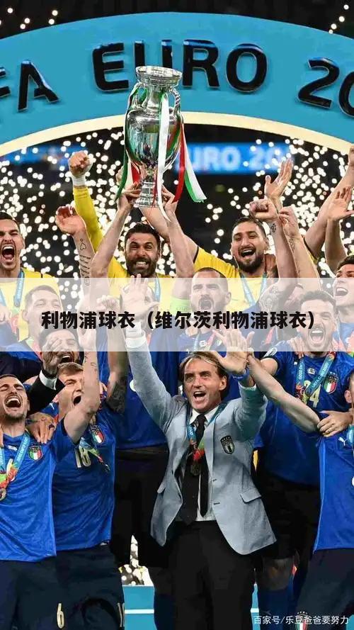 利物浦球衣（维尔茨利物浦球衣）  第4张