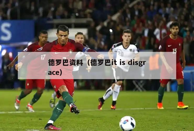 德罗巴资料（德罗巴it is disgrace）  第2张