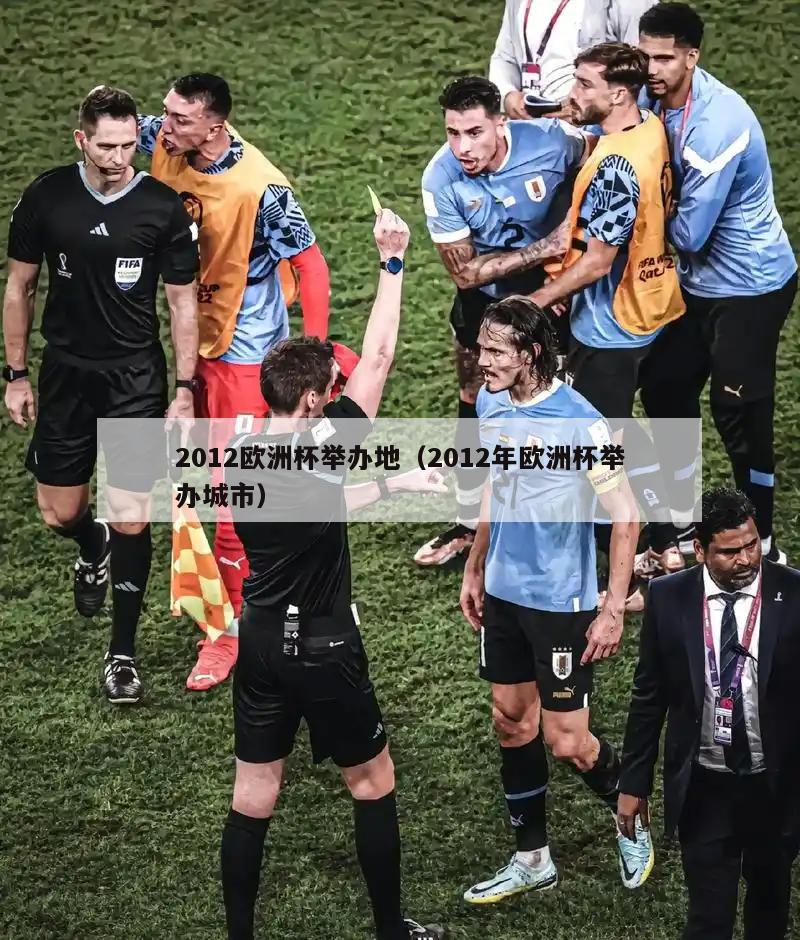 2012欧洲杯举办地（2012年欧洲杯举办城市）  第3张