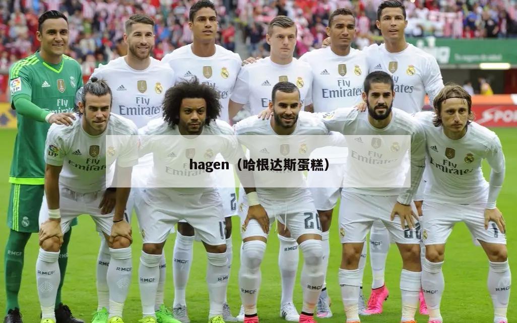hagen（哈根达斯蛋糕）  第5张