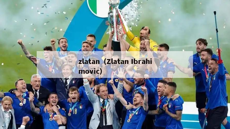 zlatan（Zlatan Ibrahimovic）  第5张