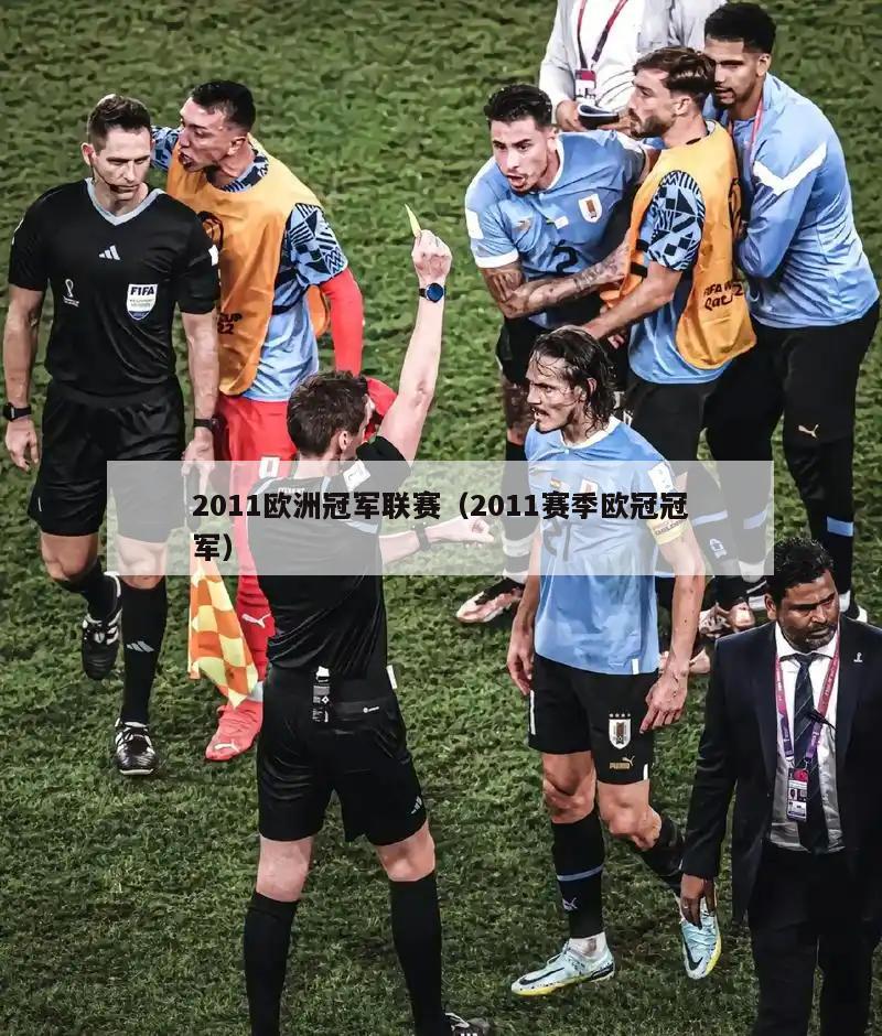 2011欧洲冠军联赛（2011赛季欧冠冠军）  第4张