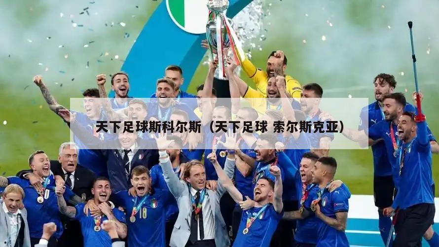 天下足球斯科尔斯（天下足球 索尔斯克亚）  第2张