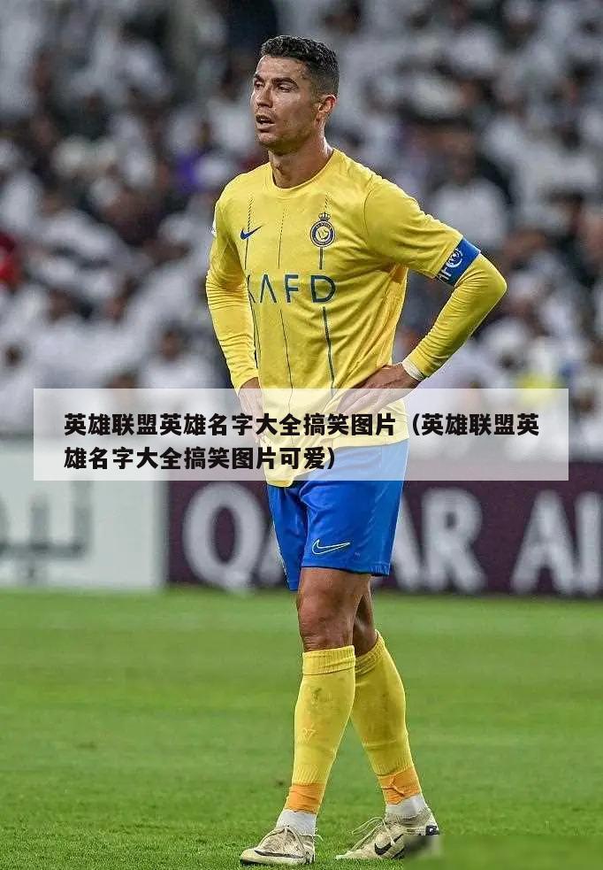英雄联盟英雄名字大全搞笑图片（英雄联盟英雄名字大全搞笑图片可爱）  第5张