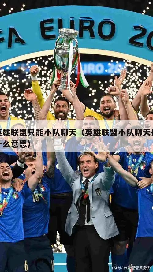 英雄联盟只能小队聊天（英雄联盟小队聊天是什么意思）